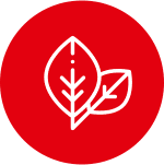 Przede wszystkim bez konserwantów